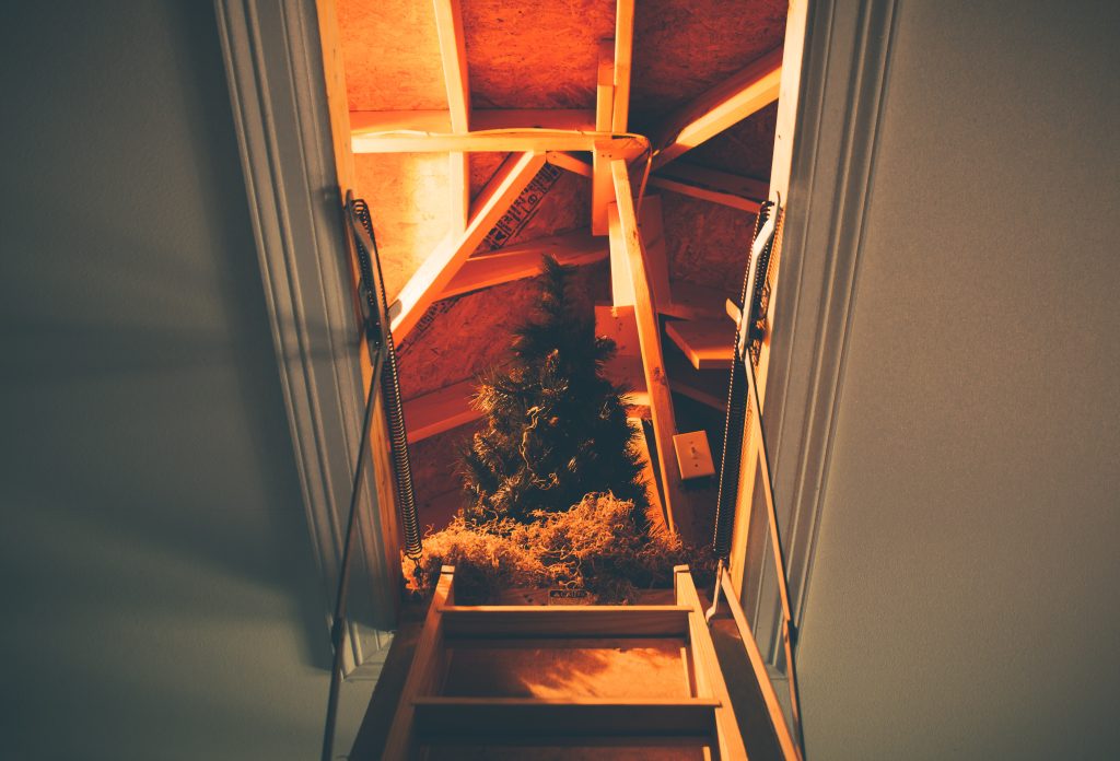 Is Basement or Attic Storage Better?